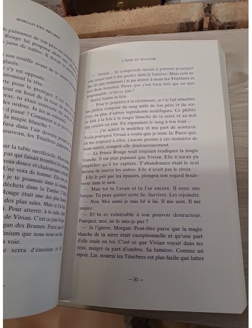 Morgan des brumes - L'épée du pouvoir