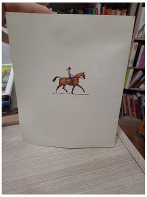 Le débourrage du cheval de selle