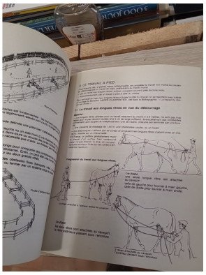 Le débourrage du cheval de selle