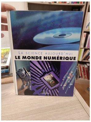 Le monde numérique - Isabelle Bourdial