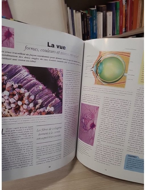 Le corps humain (La science aujourd'hui)