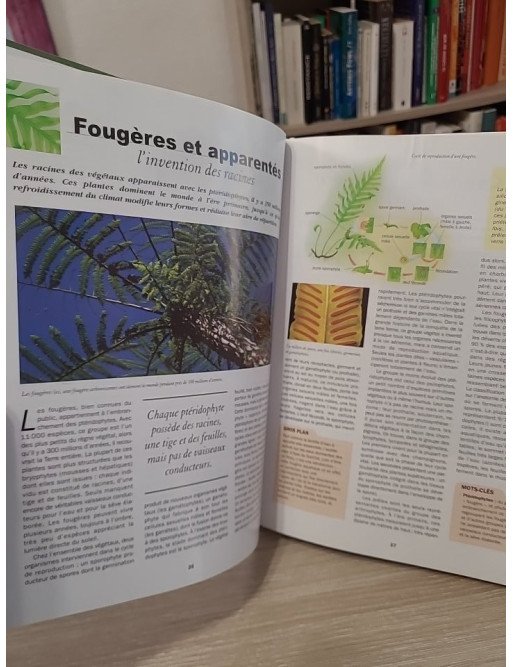 La flore et la faune (La science aujourd'hui)