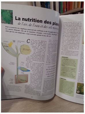 La vie et l'écologie (La science aujourd'hui)