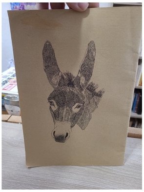 La Belle Lurette, n°11 PRINTEMPS 1998 : bougres d'anes