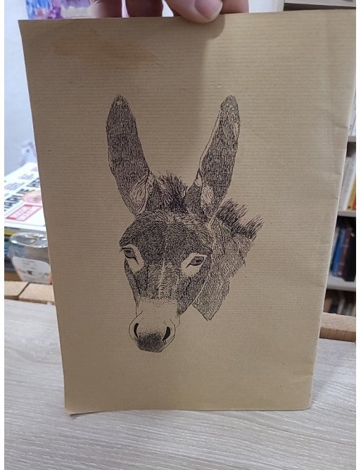 La Belle Lurette, n°11 PRINTEMPS 1998 : bougres d'anes