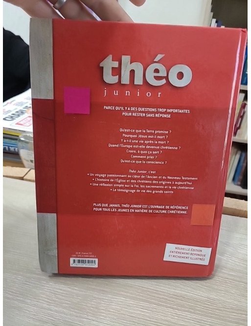 Théo junior – L’encyclopédie catholique pour les jeunes – Michel Dubost, Christine Pedotti