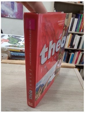 Théo junior – L’encyclopédie catholique pour les jeunes – Michel Dubost, Christine Pedotti