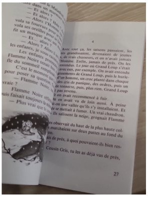 L'œil du loup – Daniel Pennac