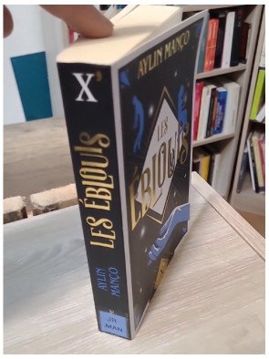 Les Éblouis - Aylin Manço