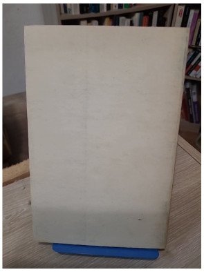 L'Abbé Calès - Peintre, curé de Tencin – Maurice Hocquette