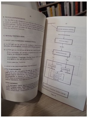 L’essentiel sur la biologie de la reproduction et le développement embryonnaire – Claude Humeau