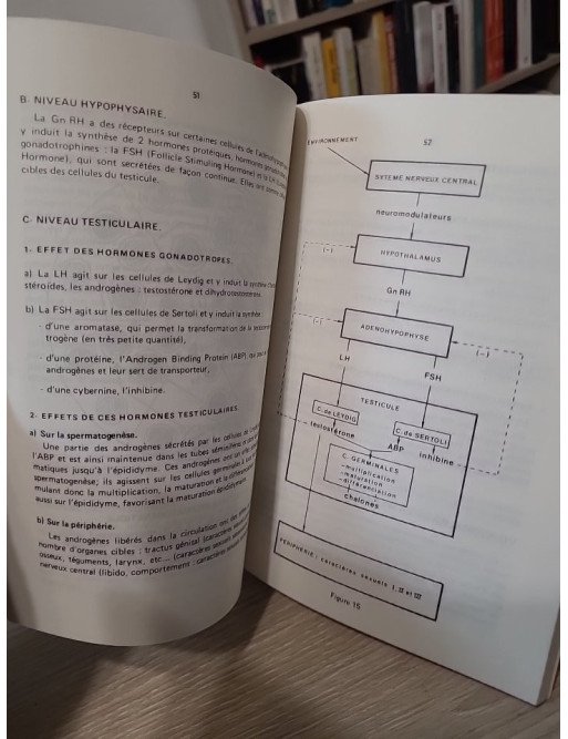 L’essentiel sur la biologie de la reproduction et le développement embryonnaire – Claude Humeau