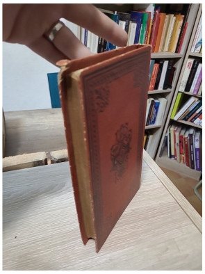 La Couronne de Roses – C. Fallet