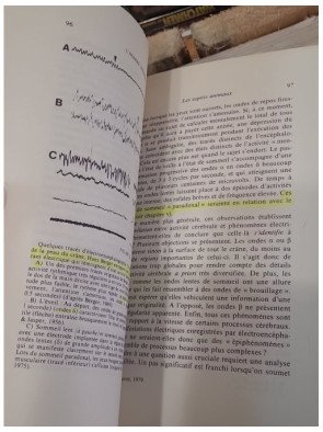 L'homme neuronal de Jean Pierre Changeux