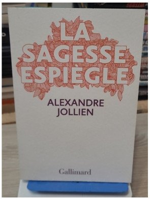 La sagesse espiègle de Alexandre Jollien