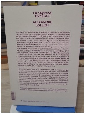 La sagesse espiègle de Alexandre Jollien