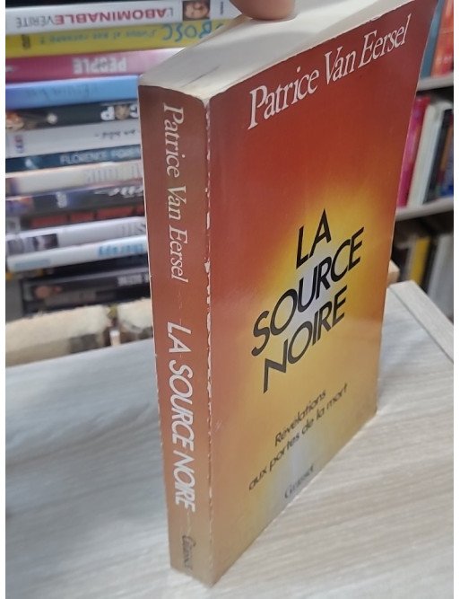 La source noire de Patrice Van Eersel