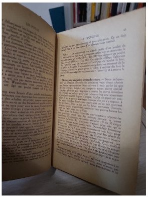 Les Poules - Bibliothèque Vie Pratique