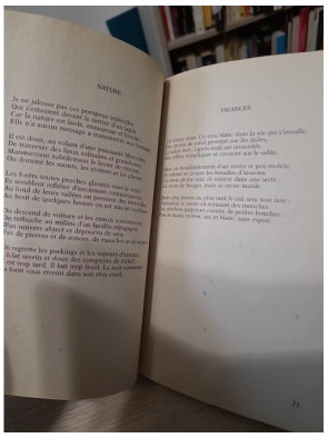 La poursuite du bonheur