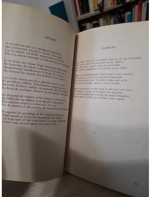 La poursuite du bonheur