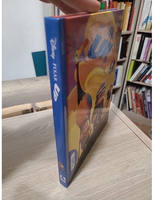 Up (Disney/Pixar Up)