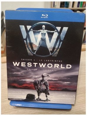 Westworld - L'intégrale des saisons 1 + 2 (DVD)