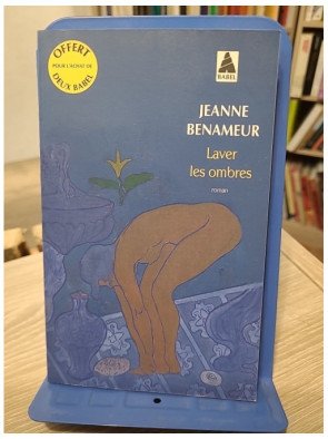 Laver les ombres – Jeanne Benameur