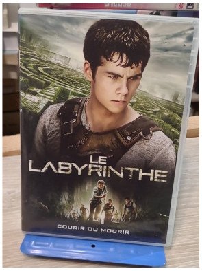 Le Labyrinthe (DVD)