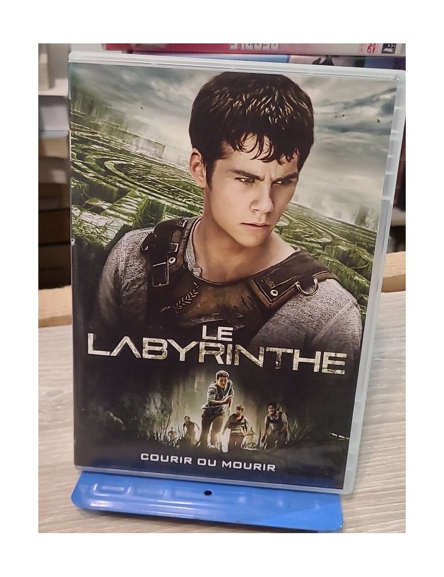 Le Labyrinthe (DVD)