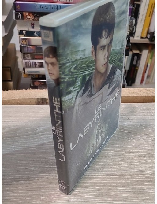 Le Labyrinthe (DVD)