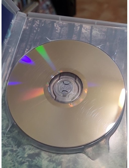 Promenons-nous dans les bois (DVD)