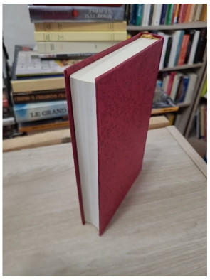 Qui es-tu, belle captive ? – Kathleen E. Woodiwiss