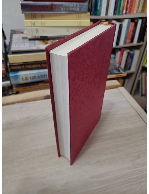 Qui es-tu, belle captive ? – Kathleen E. Woodiwiss