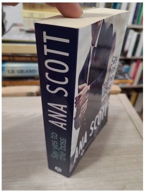 Say Yes to the Boss – Ana Scott