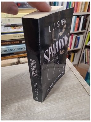 Sparrow – Le préquel de la saga Boston Belles