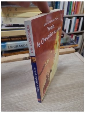 Yvain, le Chevalier au Lion