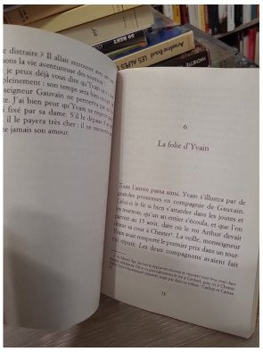 Yvain, le Chevalier au Lion