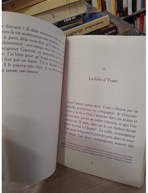 Yvain, le Chevalier au Lion