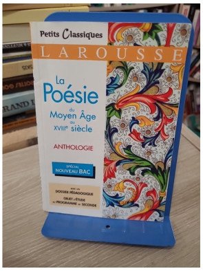 La poésie du Moyen Âge au XVIIIe siècle – Florence Renner