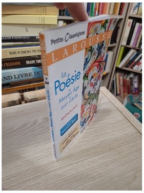 La poésie du Moyen Âge au XVIIIe siècle – Florence Renner