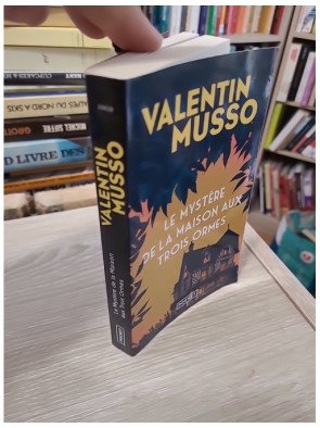 Le Mystère de la maison aux trois ormes – Valentin Musso
