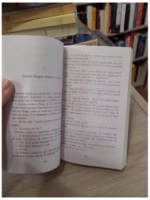 Le Mystère de la maison aux trois ormes – Valentin Musso