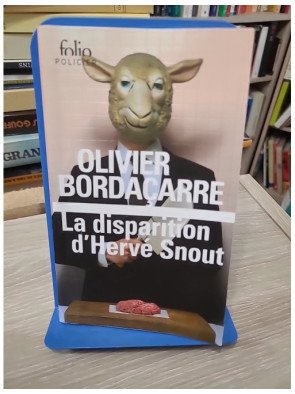 La disparition d'Hervé Snout – Olivier Bordaçarre