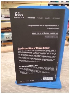 La disparition d'Hervé Snout – Olivier Bordaçarre