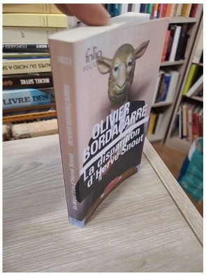 La disparition d'Hervé Snout – Olivier Bordaçarre