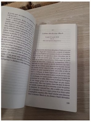 La disparition d'Hervé Snout – Olivier Bordaçarre