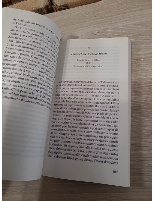 La disparition d'Hervé Snout – Olivier Bordaçarre