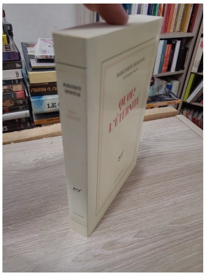 Le labyrinthe du monde, tome 3 - Quoi ? L’éternité – Marguerite Yourcenar