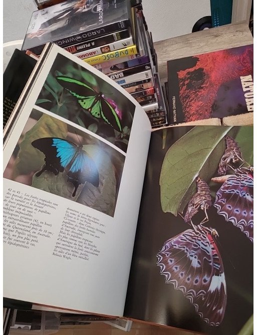 Le Monde des arbres - La vie des bois et des forêts - Les Line, Ann Sutton, Myron Sutton