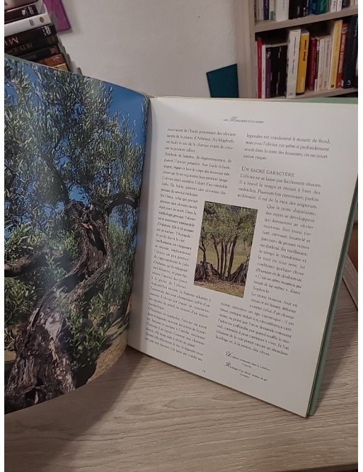 Trésors du Sud. L'olivier, les olives et l'huile d'olive - Martine Calais